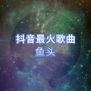 鱼头《是夏天啊》[MP3/LRC]