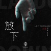 大壮 - 放下