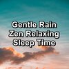 Nature Spirit、Nature Recordings、Sounds of Nature White Noise Sound Effects - Gentle Rain For Peace To Loop for 10 Hours