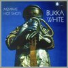 Bukka White - Bed Spring Blues