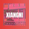 八妹、左晴 - 想你想的心上疼 (DJ版)