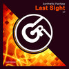 Synthetic Fantasy - Last Sight (Original Mix)