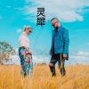 寻凌、尔安 - 你的世界到底有了谁