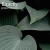 Gregory Bonino - Exactly