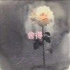 朵子 - 我爸的笔 (口哨版)