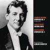 Leonard Bernstein、Johannes Brahms、New York Philharmonic Orchestra - I. Allegro non troppo