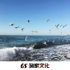 明洋 - 当所有花瓣落去我只要叶片的你