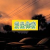 朵子 - 追光者
