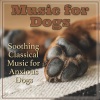 Dog Music Therapy、Dog Music Dreams、Relaxmydog《Doggy Daydream》[MP3/LRC]