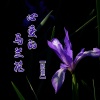 酝旭 - 心爱的邴格尔