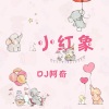 DJ阿奇 - 酒吧 (DJ版)