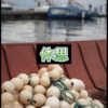 温温 - 好心分手 (必火版)