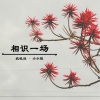 疯晓沫、小小默 - 相识一场