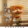 晓星沉 - 我曾负过年少