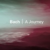 Orpheus Chamber Orchestra - II. Air