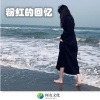 South Entering - 猪猪侠 (DJ弹鼓版)