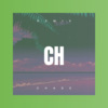 冷致远、苏可可 - Chase