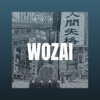 左晴 - 我在画中走