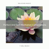 Instant Relax - Perfect And Soft Meditation Compositions