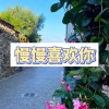 易伊 - 风的季节 (巅峰版)