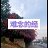 卓儿 - 第三人称 (刮刮版)