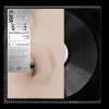 Pearl River Sound、Z.I.P.P.O - VST Intended