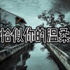 爱惜 - 涛声依旧
