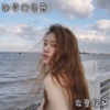 电音老傅 - 苏喂苏喂苏喂 (DJ版)