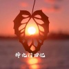 糖妹 - 臣