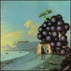 Moby Grape - The Place and the Time