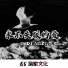 张凯 - 不亏待所有热情 (DJ版)