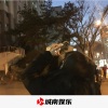 上官婉儿 - 火花大锯 (DJ版)