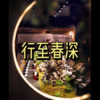 小舒 - 画中魂