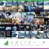 欅坂46 - サイレントマジョリティー