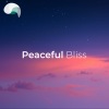 RelaxMyBrain、RelaxMyBrain LoFi Beats - Progression