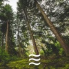 Calmful Rainfall - Cosy Raining for Calmful Relax