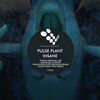 Pulse Plant - Insane (Original Mix)