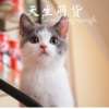风琉璃、凤鸣喧、虞姬 - 天生萌货