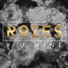 ROZES - R U Mine