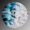 伊佳一 - 致青春