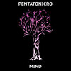 Pentatonicro - Mind (Original Mix)