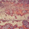 Hoki - The Walls Can Talk