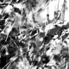 Pulso、Translate - Elliptic Map