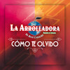 La Arrolladora Banda el Limón de Rene Camacho - Cómo Te Olvido