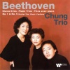 chung trio - I. Allegro