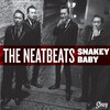 The Neatbeats - Snakey Baby