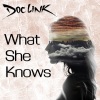 Doc Link - Southside Boogie