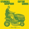 Sturgill Simpson - All Around You