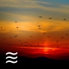 软救济噪音 - 宁静镇定的软噪音
