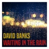 David Banks《Waiting in the Rain》[MP3/LRC]